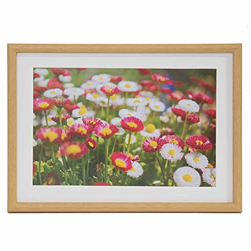 FUJICOLOR �ؐ��z�� M20 ���C�h6�� �ؒn 407789