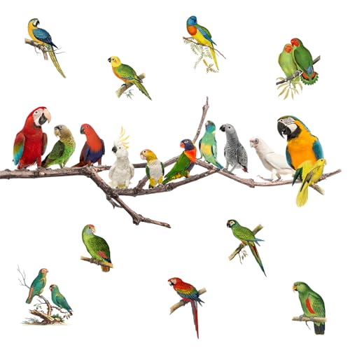 Vinilos decorativos pájaros en rama acuarela pack 2 miniatura 3