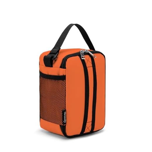 BEIMILY Lunch Box for Men Women Adults,Mini Insulated Lunch Bag for Office Work Picnic,Reusable Portable Lunchbox,Soft Cooler Tote Bag,6 can cooler bag,Mini,Orange