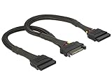 esata/usb y-kabel Mit Geflechtummantelung DeLock Kabel Power SATA 15Pin Bu > 2 x SATA 15Pin St HDD 25cm (Geflecht)