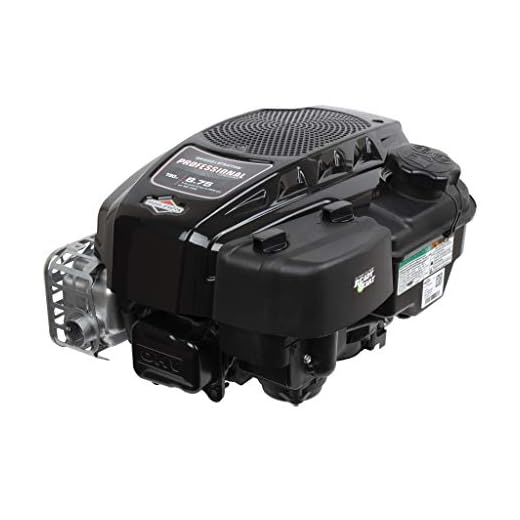 Briggs & Stratton 875 Professional Series Engine, Black