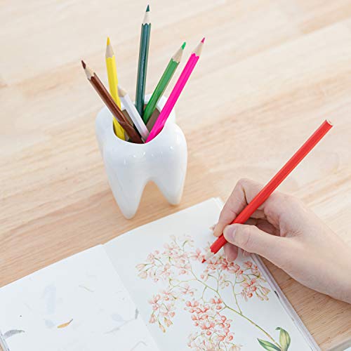 Pot à crayons forme de dent en céramique, cadeau idéal pour dentiste et secrétaire