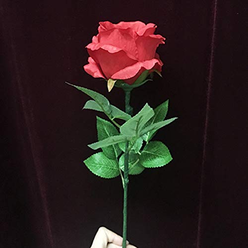 SUMAG Trucos de magia luz rosa control remoto profesional magos etapa bar boda ilusiones trucos truco apoyos mentalismo divertido