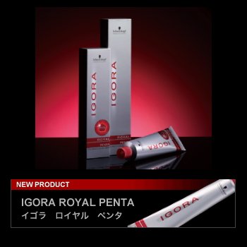 ３９本 シュワルツコフ イゴラ ロイヤル ペンタG まとめ売り Amazon | シュワルツコフ イゴラ ロイヤルペンタ シングルシェード