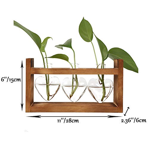 Propagation Station Plant Glass EylKoi, Air Plant Hydroponic Terrarium with Retro Brown Wooden Stand Heart Vase - Image 4