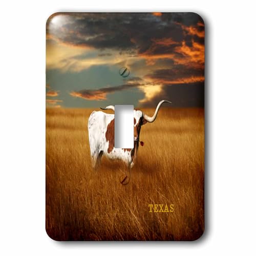 Interrupteur à bascule Texas Longhorn remplacez vos plaques blanches jaunies ternes