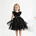 Toddler Girl Tulle Dress Summer Ruffle Sleeveless Baby Girl Birthday Fashion Casual Holiday Dresses 2-6Y (US, Age, 5 Years, Black)