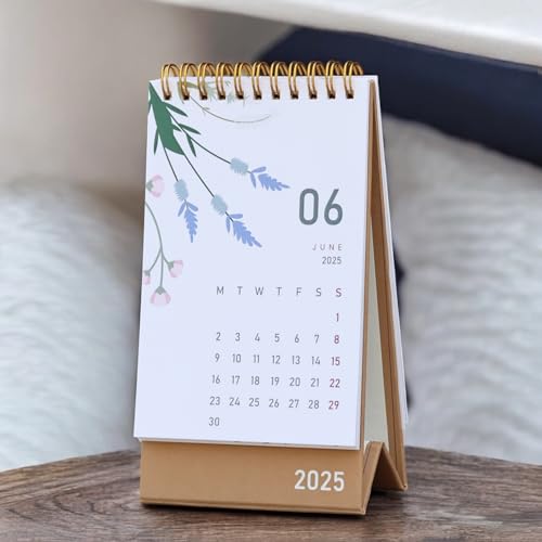 2025 Desk Calendar - Standing Flip 2025 Desktop Calendar with Thick Paper Size : 6 x 4 inch for Office,School,Family (multicolor) 9 41CMSdqXNcL