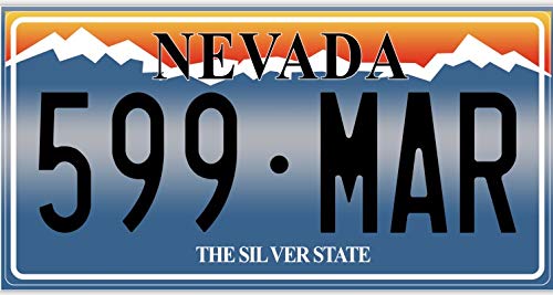 - Set mit 10 Metall USA Auto LIZENZPLATTEN - Repliken von echten amerikanischen Platten (Fabbri LF3)