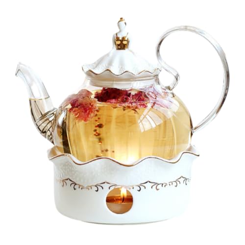 Biizhe ϔMKX R[q[Jbv\[T[ Zbg  킢 KXeB[Jbv At^k[eB[ g n[ueB[ Jbv NEfUC (1|bg+x[X)