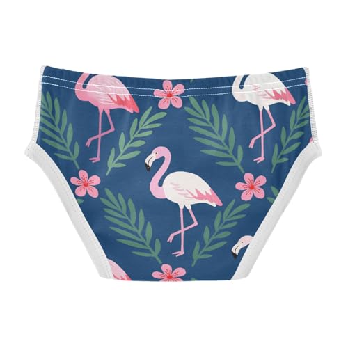 GuoChe Boy Toddler Underwear Soft Cotton in Sizes 2T,3T, 4T, 5T, 6Y and 8Y2