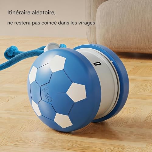 Jouet balle pour chat automatique et interactive avec corde à queue rechargeable