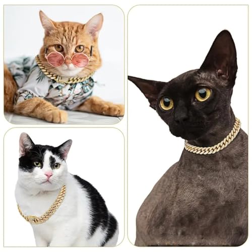 Hundekette Diamant Kubanische Halsbänder Hundekette Haustierhalsband mit Diamanten,Verstellbarer Hundehalsband aus Legierung mit Schloss,für kleine mittelgroße große Hunde Katzen,Gold,50cm