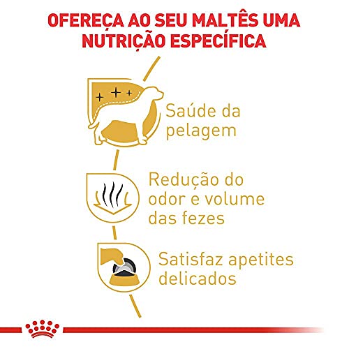 Ração Royal Canin Maltês Cães Adultos 2,5Kg Royal Canin Adulto - Sabor Outro