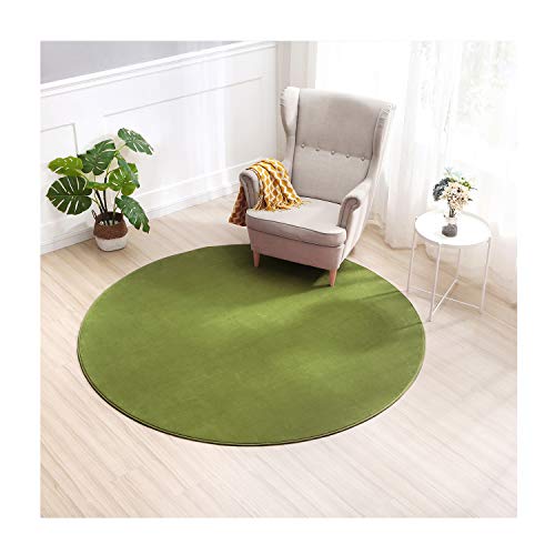 SPEEDY ラグ・カーペット フランネルラグ カーペット フリーライフ ラグマット ラグ 滑り止め 防ダニ 抗菌 防臭 防音 遮音 ふわっと手触り (グリーン, 直径200cm)(円形)