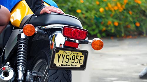 Autogem Universal Led Lighting Motorcycle License Plate Frame 4Functions- Running Light/Brake Light/Right Turn Light/Left Turn Light #TOP4