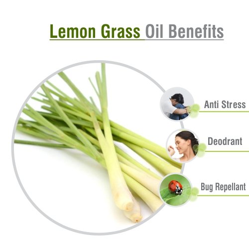 Image of Crysalis Lemongrass Oil (Cymbopogon spp.) Oil - 50ml