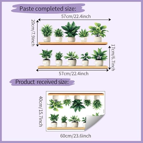 Image of Green Plants Wall Stickers 3D Bonsai Tropical Betterfly Creative Vinyl Peel and Stick Removable Wall Art for Living Room Bedroom Home Office (Green Plant 2)