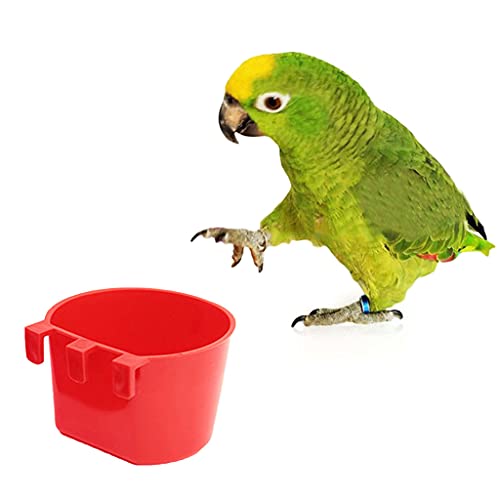 NA Pluimvee Water Cups Drinkkom voor Kippen Eenden Kwartels Universele Vogelkooi Plastic Zaad Water Voedsel Feeder Cup S… - Afbeelding 6