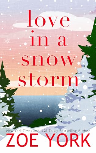 Love in a Snowstorm (Pine Harbour Book 2)
