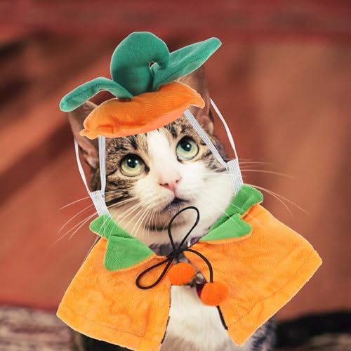 Disfraz para perro set capa y sombrero calabaza Halloween miniatura 5