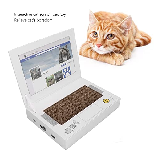 Cat Scratch Laptop, Brinquedos Interativos para Gatos Percorra As Redes Sociais e Acompanhe Os Mews