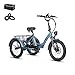 Fafrees F20 Mate Elektro-Dreirad | Klappbar, 48V Akku, 65Nm Motor | 20"×3.0 Allwetterreifen, 180kg Lastenfähigkeit, Senioren-E-Bike (18Ah-Basismodell, Blauer Stil 1)