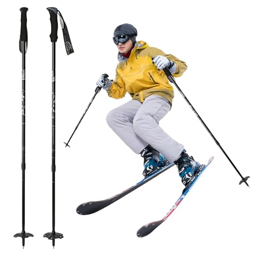 スキー ストック 伸縮式 カーボン」の人気商品一覧 | 安い商品を通販