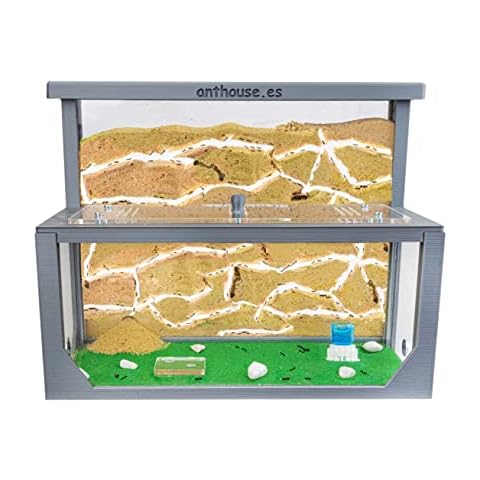 AntHouse - Natural Sand Ant Farm | Kit L (Sandwich + Forage Box) | 3D Model Colour Grey Cover