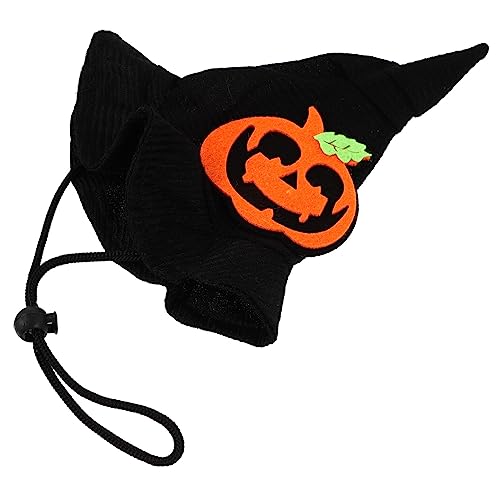 FONDOTIN 1 ybg̃J{`̖Xq ̖Xq nEB[̃ANZT