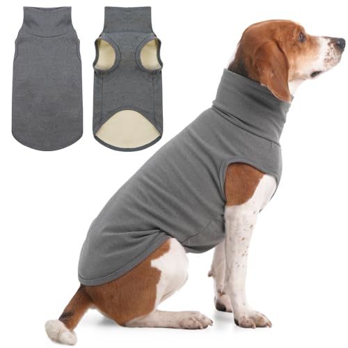 IECOii pt[XxXgZ[^[ - ^[glbNtXgb`EH[vI[o[AO[A[WAC[W[I/ItEB^[hbOZ[^[ ~fBA[WhbOK[{[CYAnClbN̓~HWvX[c