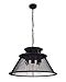 CWI LIGHTING 9745P20-5-219 5 Light Down Chandelier with Reddish Black Finish