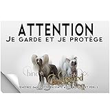 Stick Attention au chien chien chinois