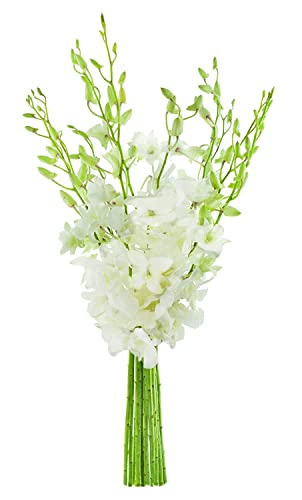 Image of KaBloom Prime Delivery : Bouquet of White Orchid for Sympathy, Wedding, Anniversary, Birthday, Congratulations, Get Well and Thank you
