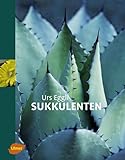  Sukkulenten -