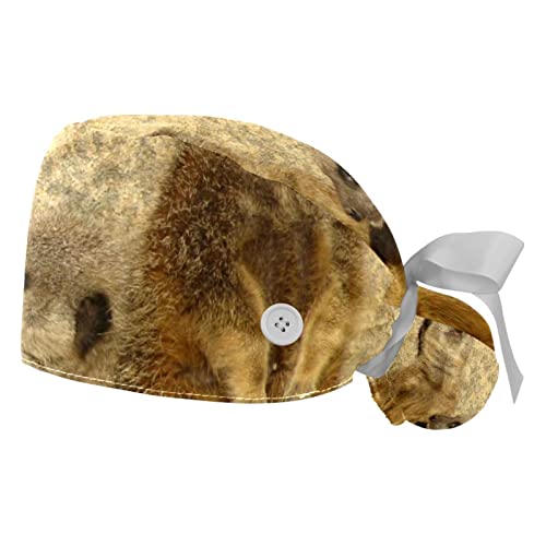 Casquettes de travail anti-transpiration : 2 chapeaux bouffants ajustables avec suricates