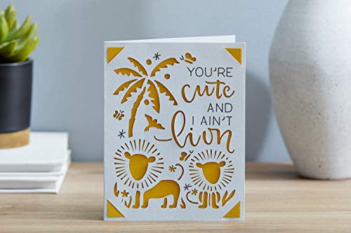 Cricut 2007254 Joy Insert Cards - Diy Greeting Card For Baby Shower, Birthday, And Wedding - Sensei Sampler, 12 Ct #TOP7