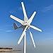 Produktbild 800W Windkraftanlagen 12V 24V 48V Windturbinen Windräder mit 6 Flügeln und kostenlosem MPPT Laderegler horizontale Windgenerator für Zuhause (12V mit Reglar)