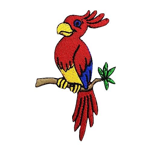 Parche de loro para niños, bordado termoadhesivos para planchar o coser, para ropa, etc. 8 x 5,5 cm