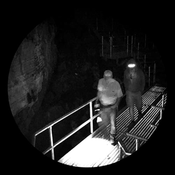 whole crew spelunkin'