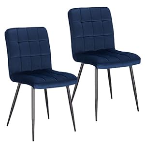 Lestarain Eetkamerstoelen, 2-delige set, keukenstoel, gestoffeerd, woonkamerstoel, fluwelen stoel met rugleuning, metalen poten, zitting van fluweel