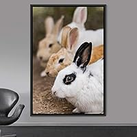 Framed Canvas Wall Art Bunny Animals Bedroom Expressive Multicolor Photography Rabbit Rustic - 16x24 inches