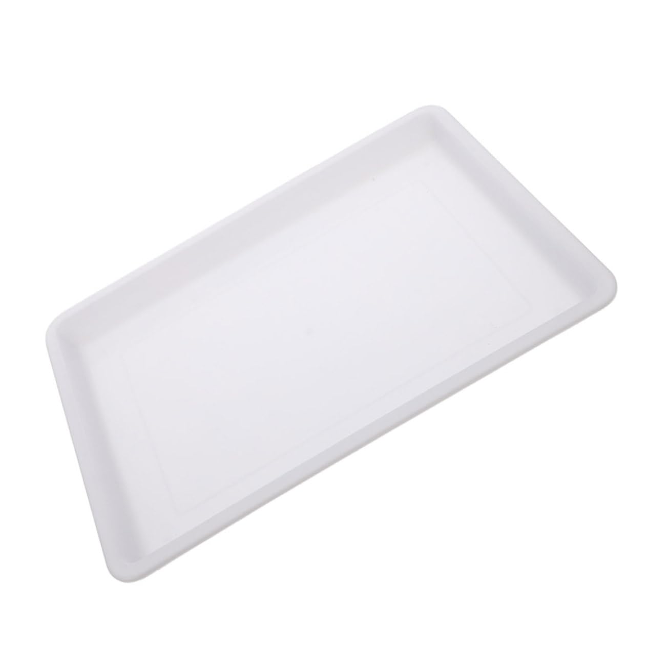 ERINGOGO Water Rubbing Painting Disk Craft Tray Plastic Trays Multi-Functional for Classroom Art Projects