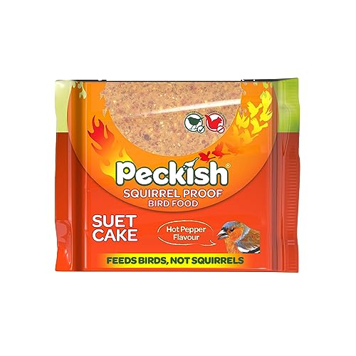 300g Squirrel Proof Suet Cake, Bird Feed/Food, Hot Pepper Flavour, Added Chilli To Deter Squirrels, High In Fat