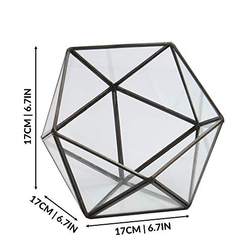 Half Ball Glass Terrarium | M&W - Afbeelding 6