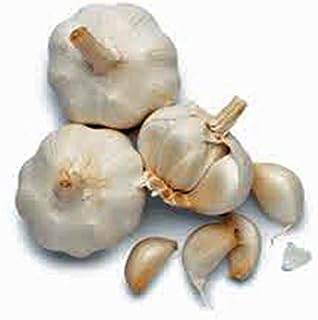 Garlic Bulb (3 Pack), Fresh California SOFTNECK Garlic Bulb for Planting and Growing