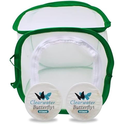 Clearwater Butterfly Live Painted Lady Butterflies - Butterfly Growing Kit with Live Caterpillars - Mesh Cage Included - Butterfly Habitat - 10 Live Caterpillars to Butterflies - Live Butterfly Kit Cover