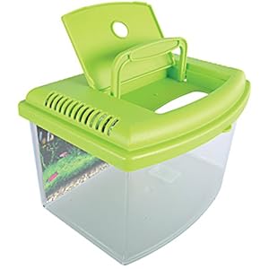 Zolux Travelbox II Acquario per trasporto/cameretta dei bambini, 22 cm