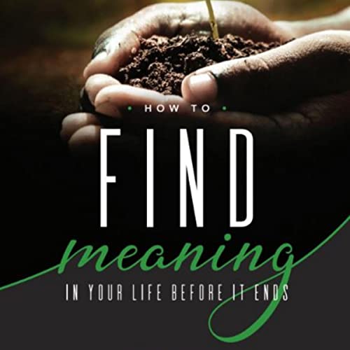 How to Find Meaning in Your Life Before It Ends by Patrick Riecke episode artwork
