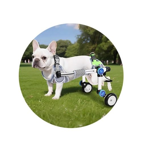Fauteuil Roulant pour Chiens handicapés XXS et chariot de marche membres postérieurs faibles